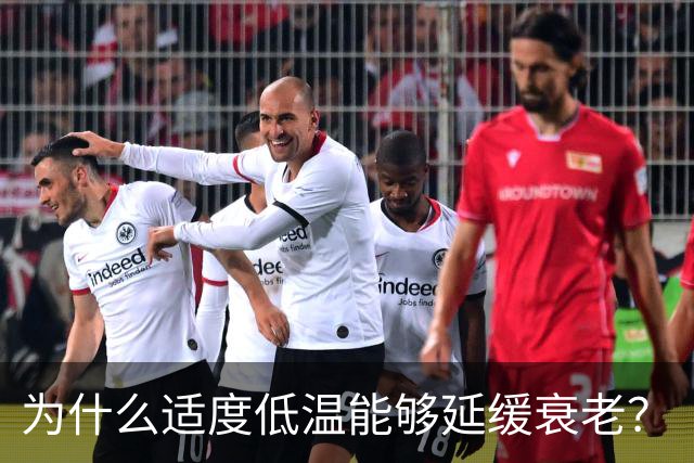 为什么适度低温能够延缓衰老？