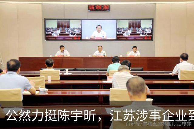 公然力挺陈宇昕，江苏涉事企业到底图个啥
