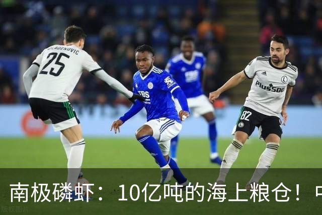 南极磷虾：10亿吨的海上粮仓！中国造最大捕捞船，一年能捕10万吨